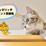 ちょびリッチポイントのお得な交換先